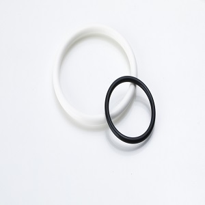 O型環(O-ring)